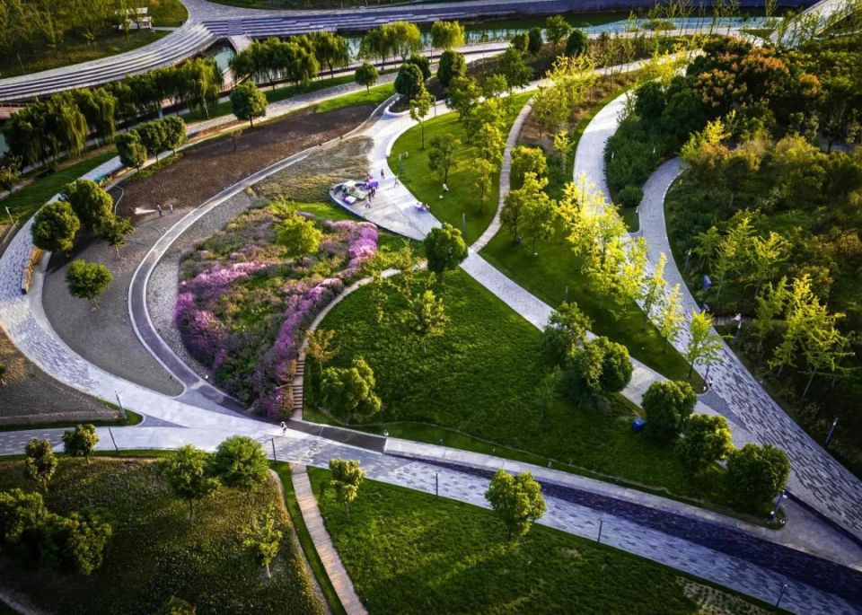 来桃浦,走进中心城区最大的"城市绿洲"_腾讯新闻