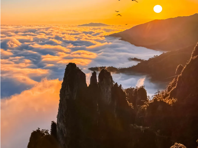 免费领!领取攻略get