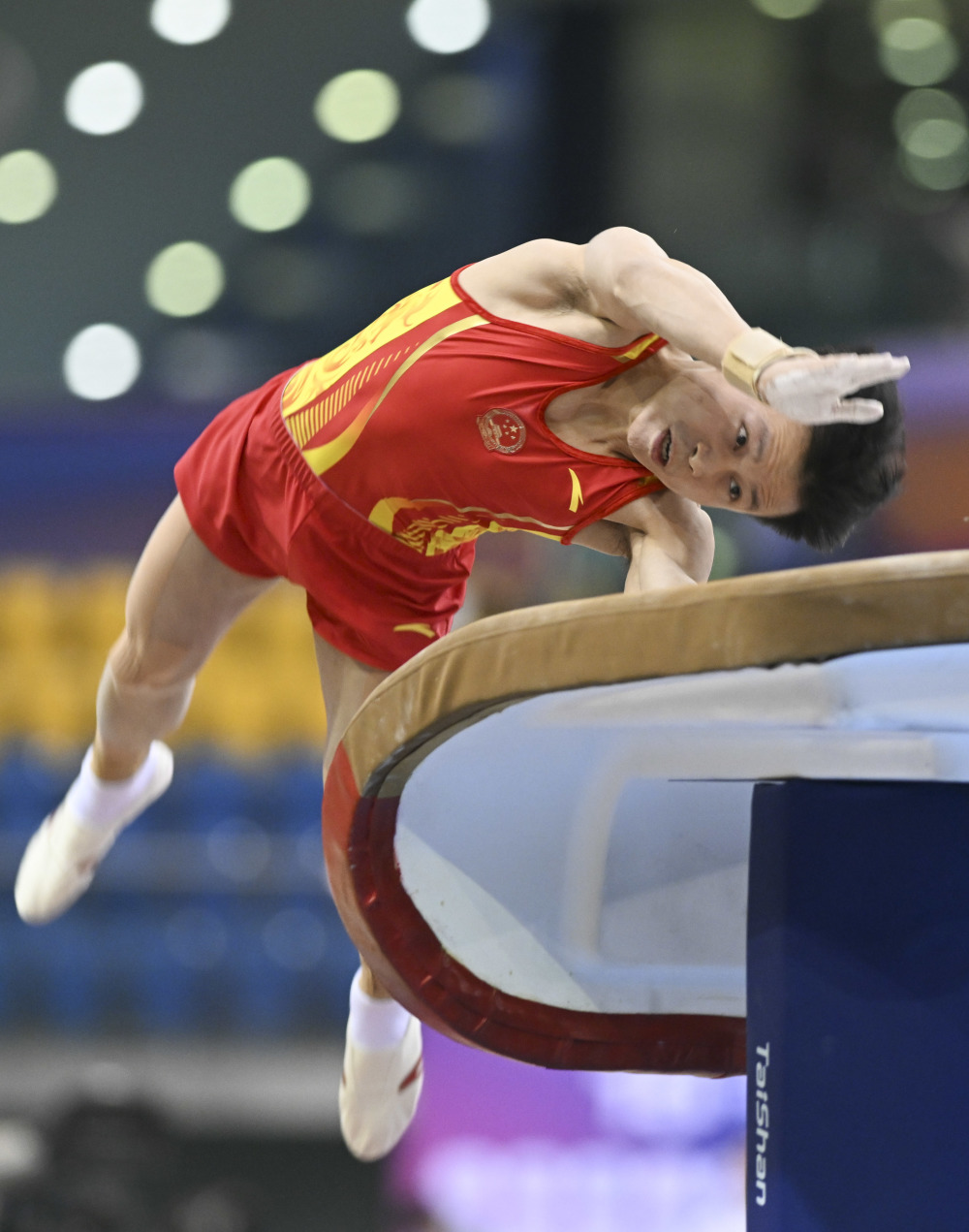 (体育)体操——世界杯多哈站:陈治龙无缘跳马决赛_腾讯新闻
