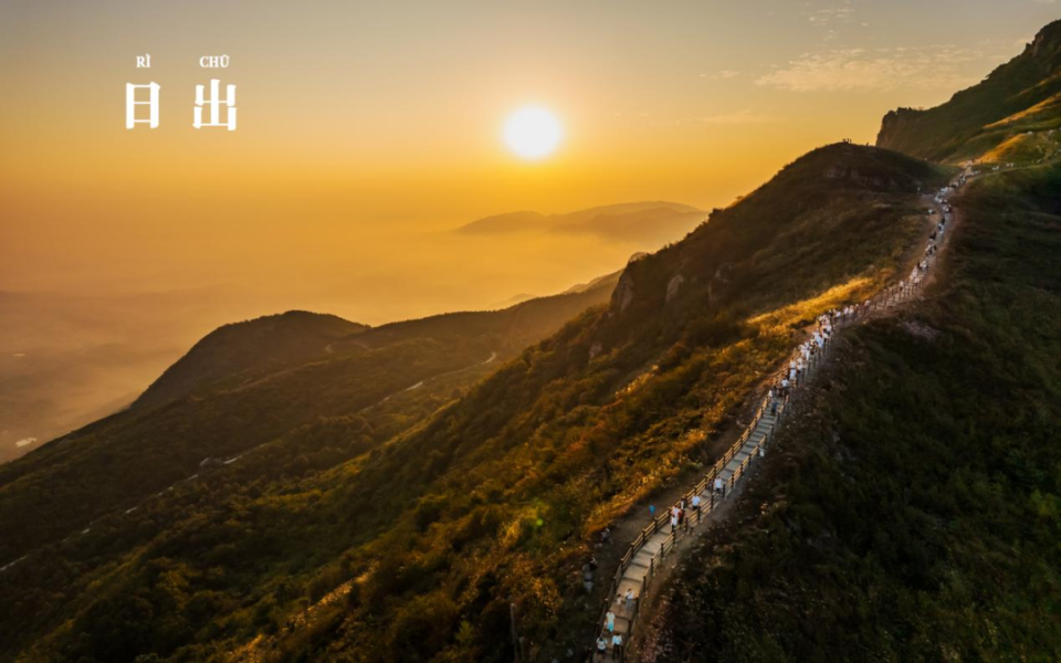 三公山的日一丛丛编织着风景一团团劝君莫采撷一簇簇如待嫁新娘一枝枝
