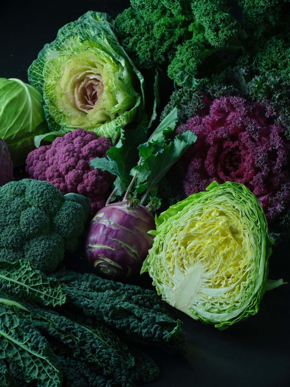 重磅发现 研究揭示甘蓝快速多样化驯化的隐藏驱动力_腾讯新闻