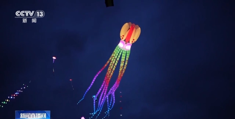 此外,夜光风筝也成为不少市民的新选择.