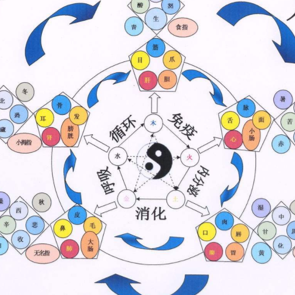 五行相生相克（五行相生相克口诀）-图1