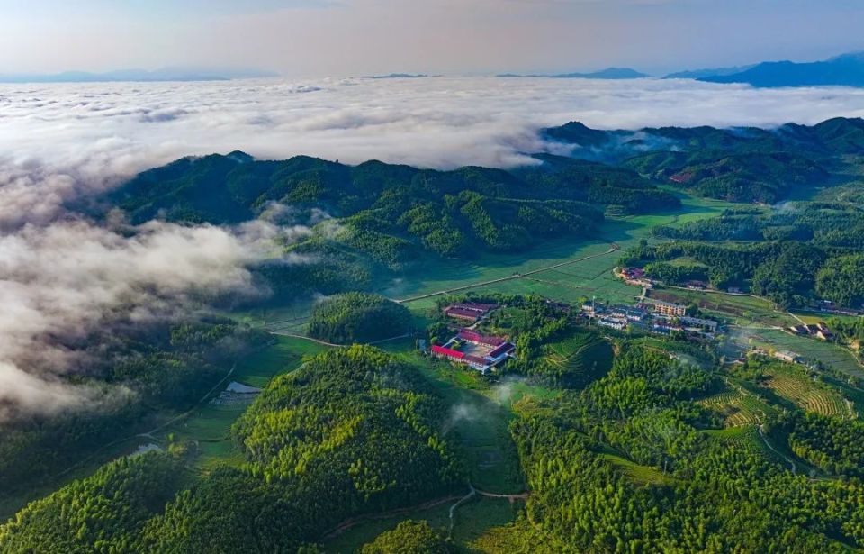 邵武晒口绿色茶山风景怡人