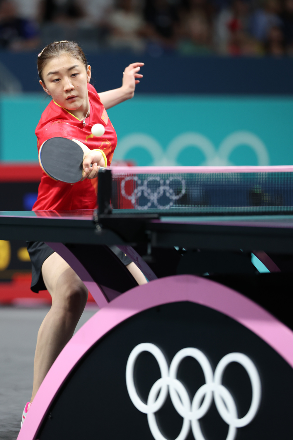巴黎奥运会丨乒乓球