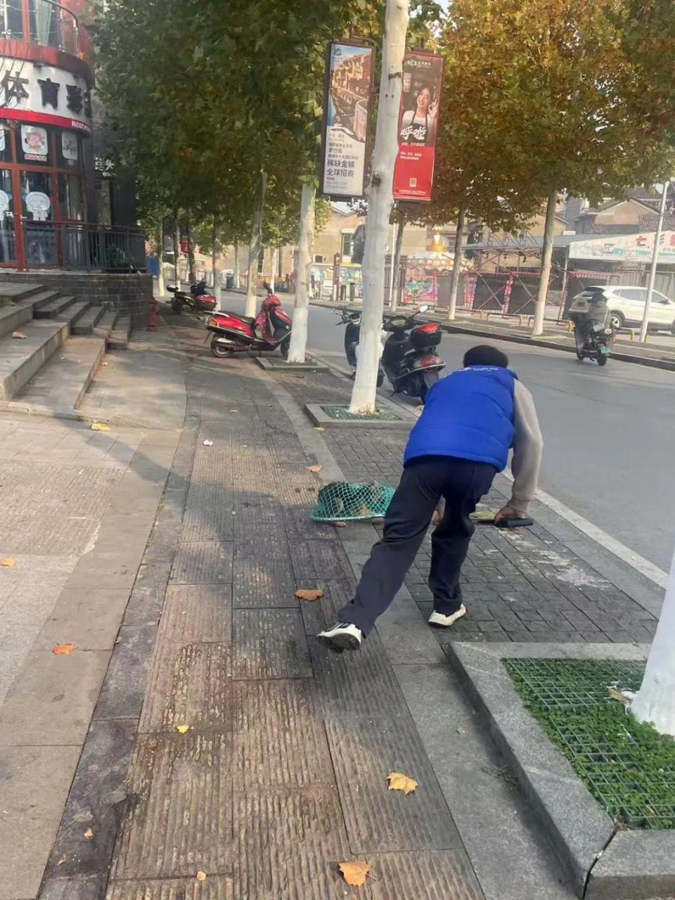 收容流浪犬80余只，你想领养吗_腾讯新闻