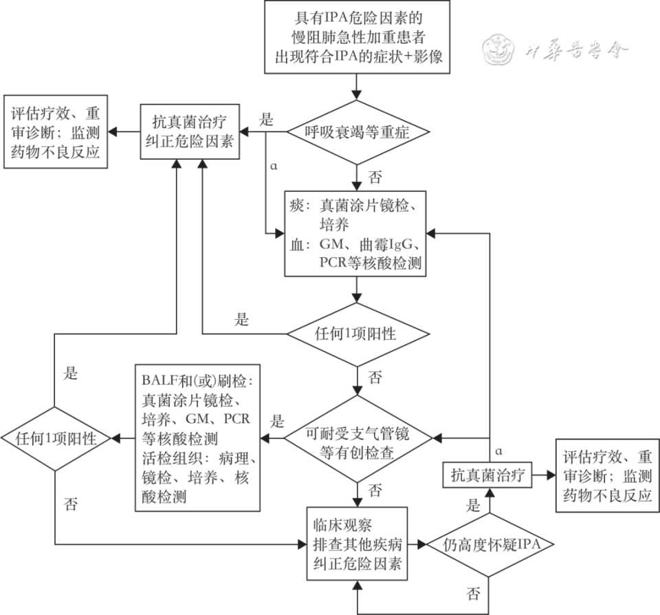 abp在医学是什么意思指南共识︱慢性阻塞性肺疾病伴肺曲霉病诊治和管理专家共识_https://www.jmylbn.com_新闻资讯_第2张