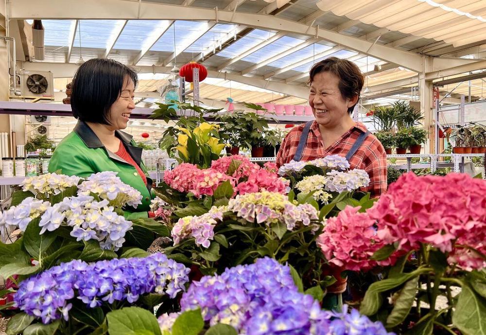 花卉网上销售(花卉网络销售平台有哪些)