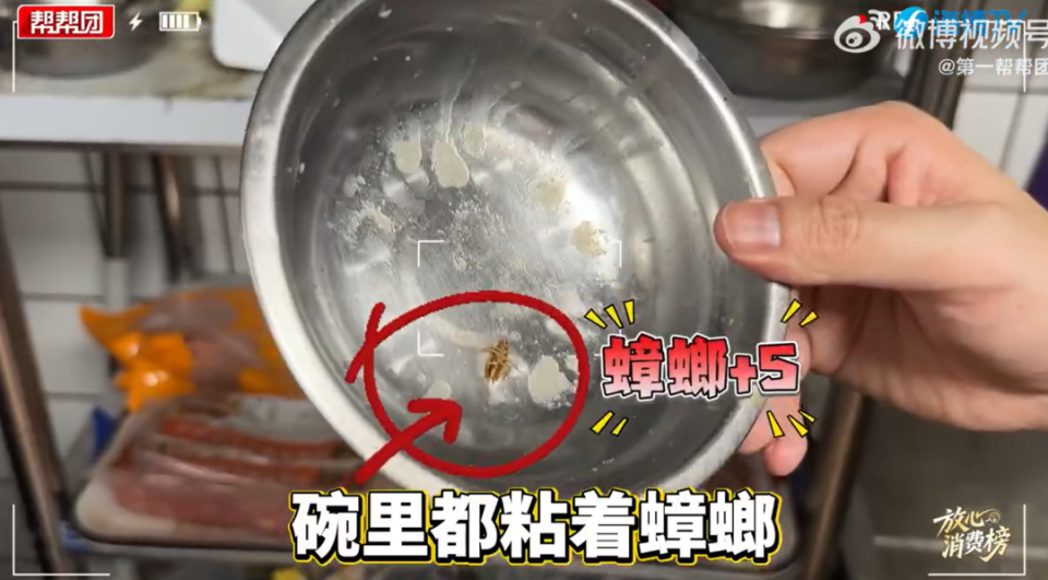 牛约堡后厨蟑螂横行！店员竟称消杀无用？食品安全谁来保障