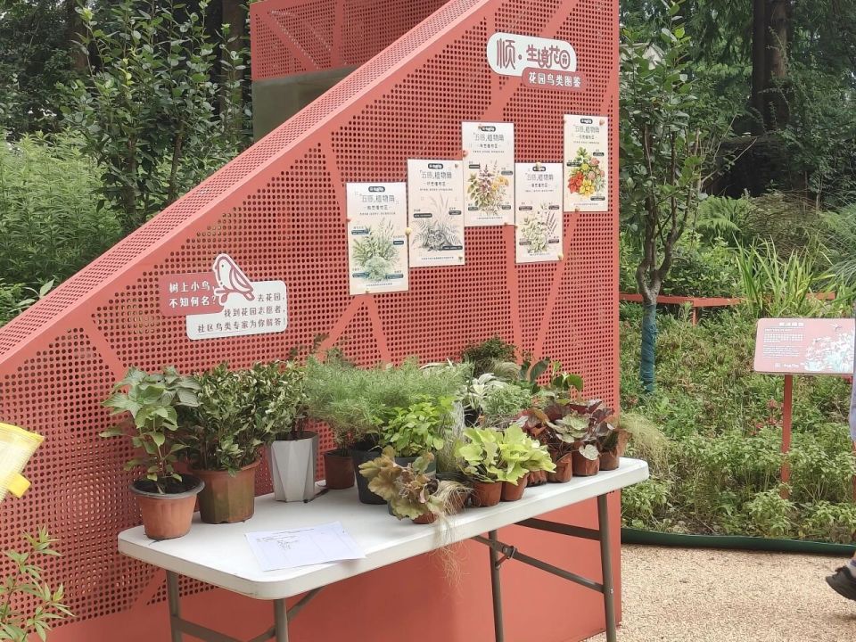 看、摸、闻、听、尝！长宁这个生境花园藏着一个“五感植物角”_腾讯新闻