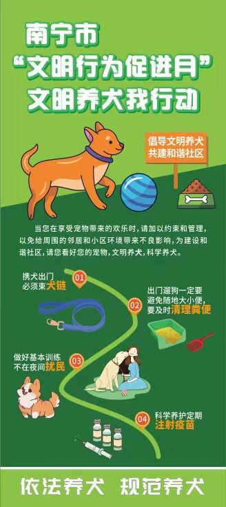 文明行为促进月丨"宠"爱有方 文明养犬我行动
