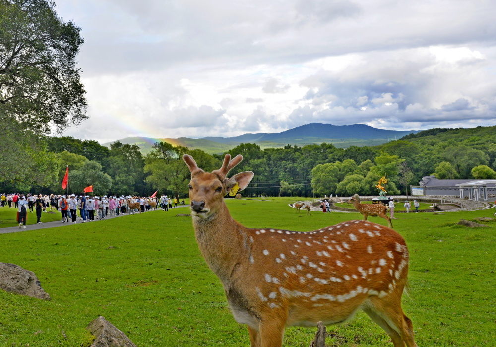本周四,周五快来报社领生活报·平山皇家鹿苑森林登山节装备