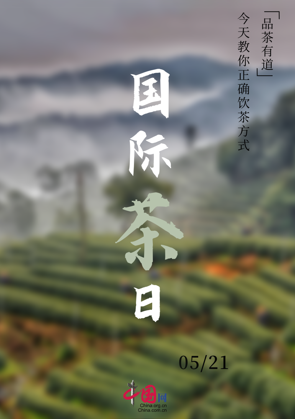 国际茶日品茶有道今天教你正确饮茶方式