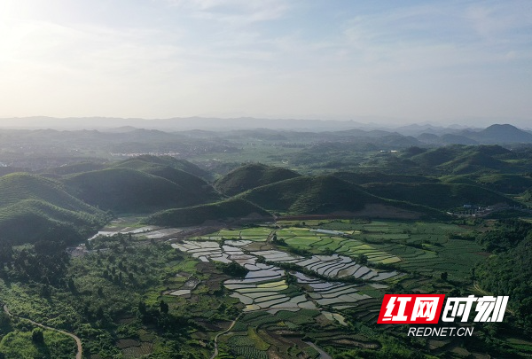 湖南新田:水田如镜美如画(组图)