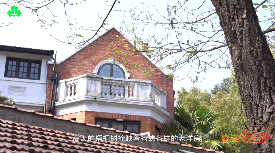 《安享心生活》带您一起citywalk:徐汇衡复风貌区_腾讯新闻