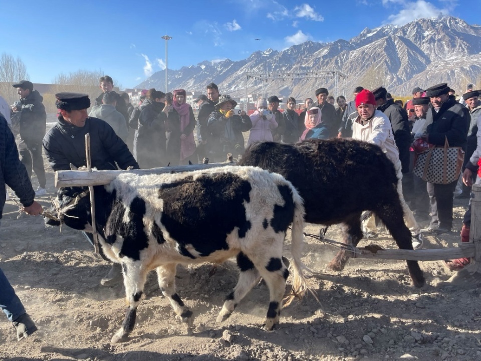 新疆塔吉克族民众欢度"引水节"和"播种节"