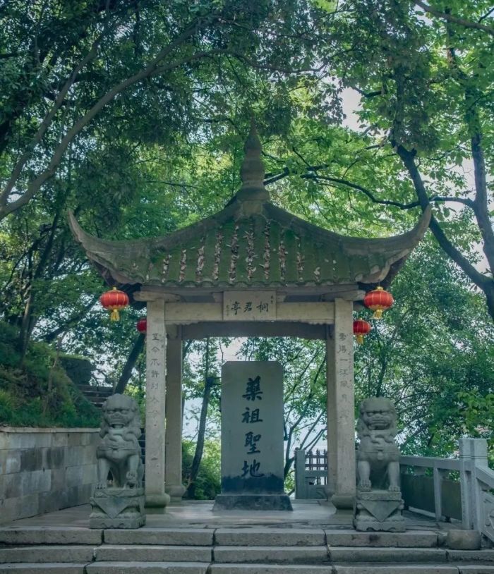 快来跟着《时光正好》游桐庐!