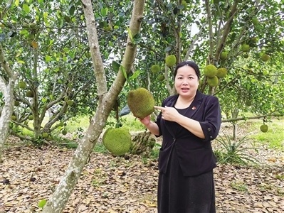 劳模风采·广东省劳动模范｜彭子玲：劳模村支书退桉种果有“蜜方”_腾讯新闻
