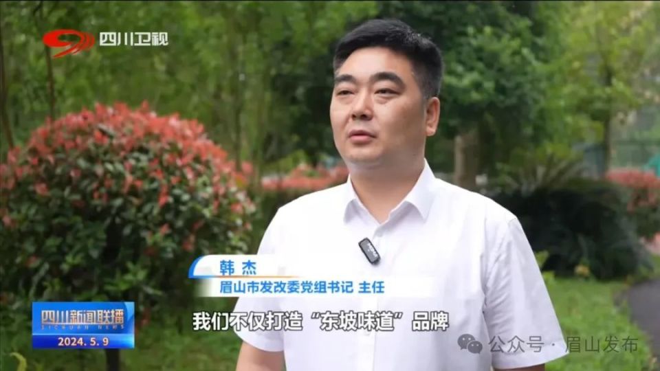 眉山市发改委党组书记主任 韩杰:我们不仅打造"东坡味道"品牌,同时