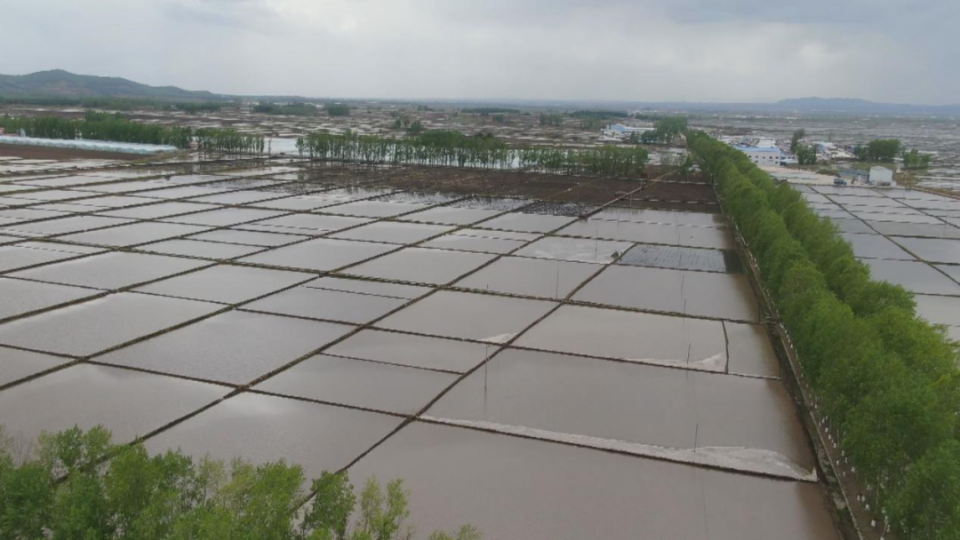 【春耕生产】延寿县加信镇开展方田化改造,用"大"稻田助推农业现代化