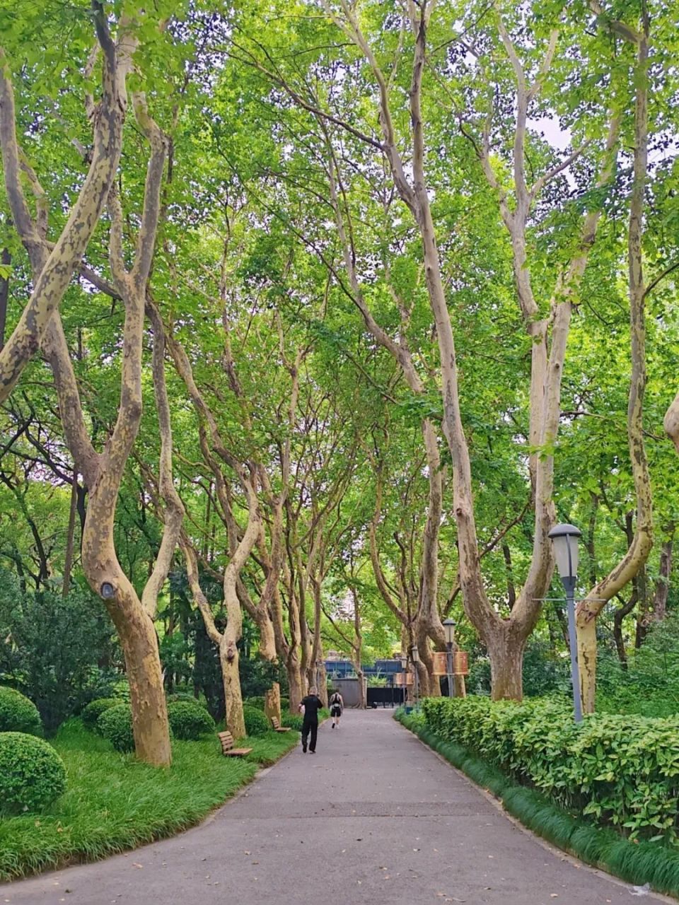 快来天山公园清凉一"夏"