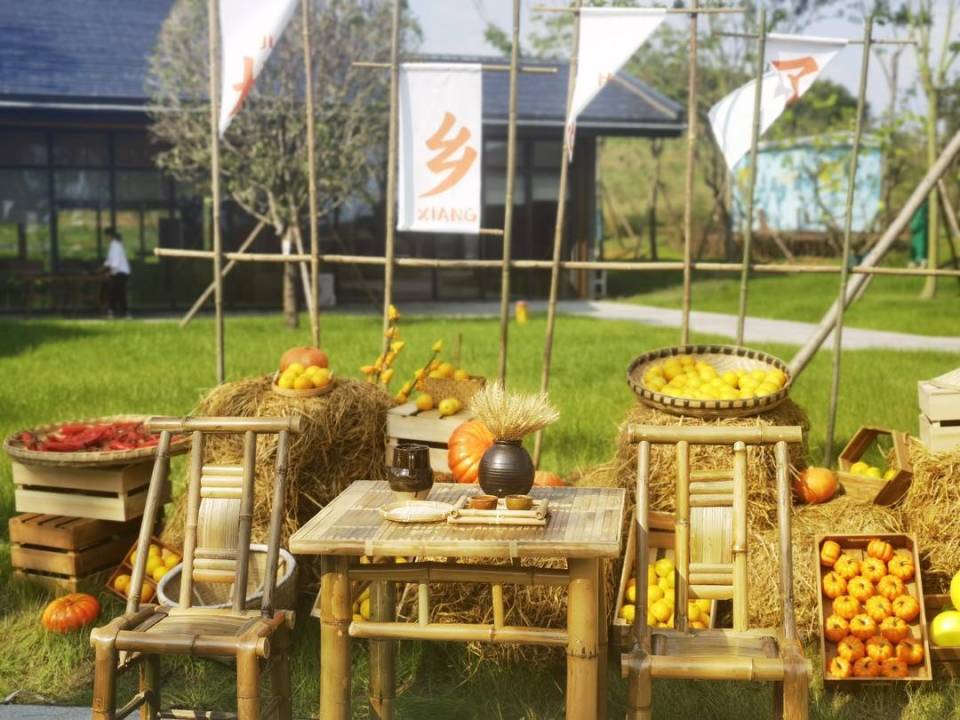 农业科普农事采收等你来成都金堂乡村振兴田园综合体正式对外开放