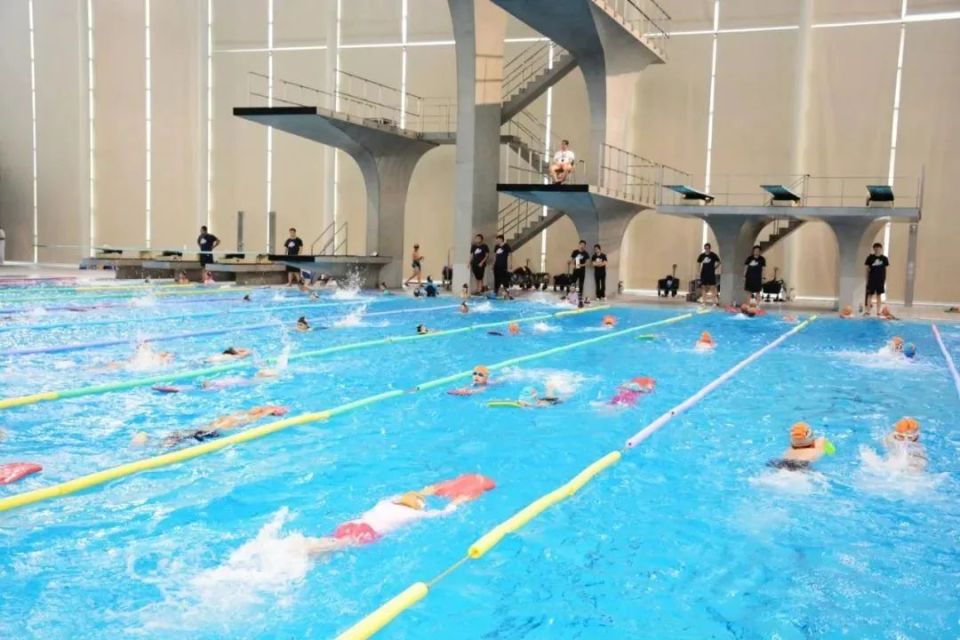 清凉一夏,这家游泳俱乐部招生啦!