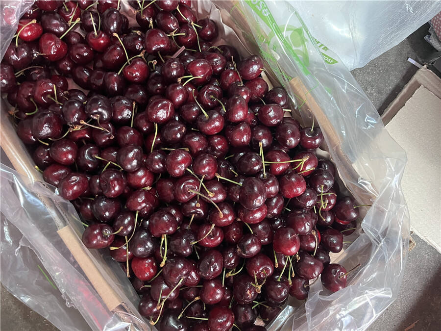 昆明车厘子价格大跳水 2.5公斤最便宜的200元1箱