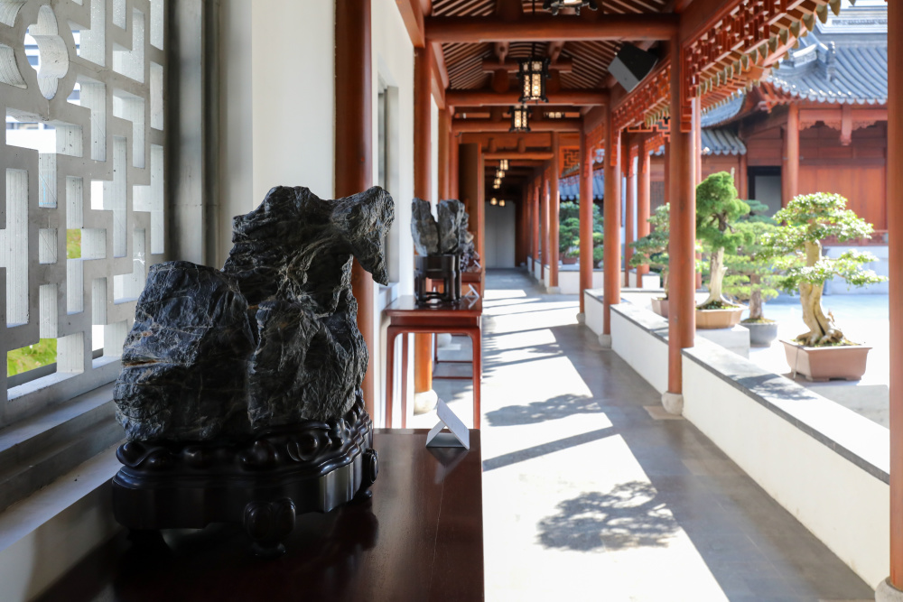 供石清古，盆景珍奇！上海博物馆东馆举办“木石双清：江南石供与海派盆景展”_腾讯新闻