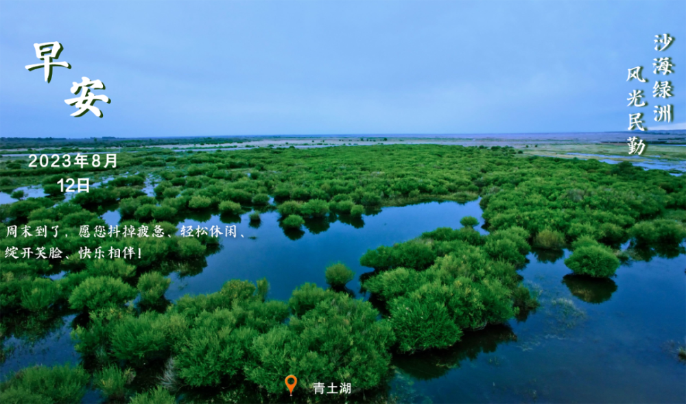 沙海绿洲风光民勤丨青土湖