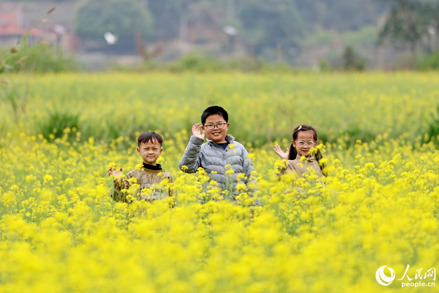 赏花图踏青图片