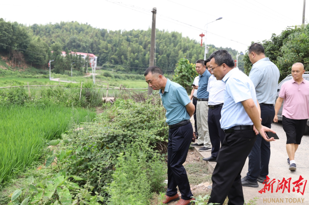 娄底市荷叶镇图片