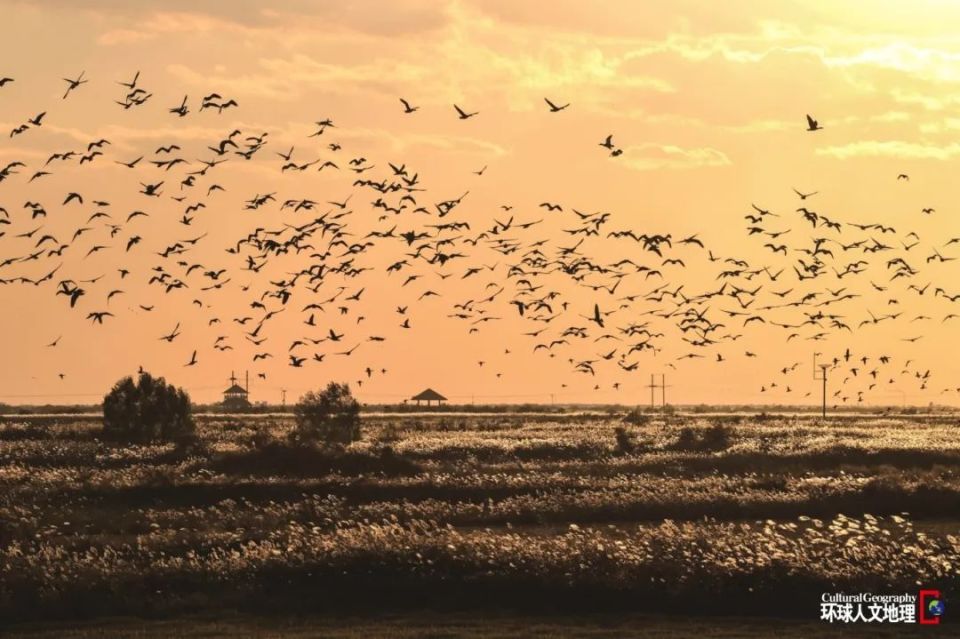 新刊丨《环球人文地理》2024年6月号:探访黄河三角洲