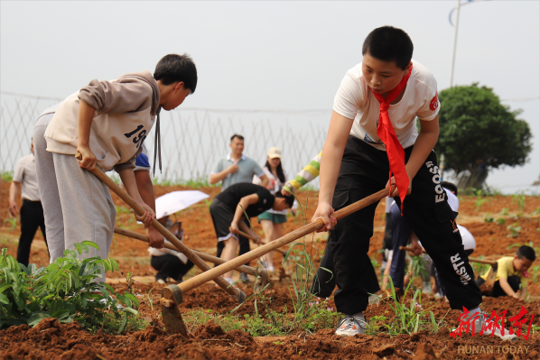 乐享劳动盛宴临武县首届中小学生劳动技能大赛举行