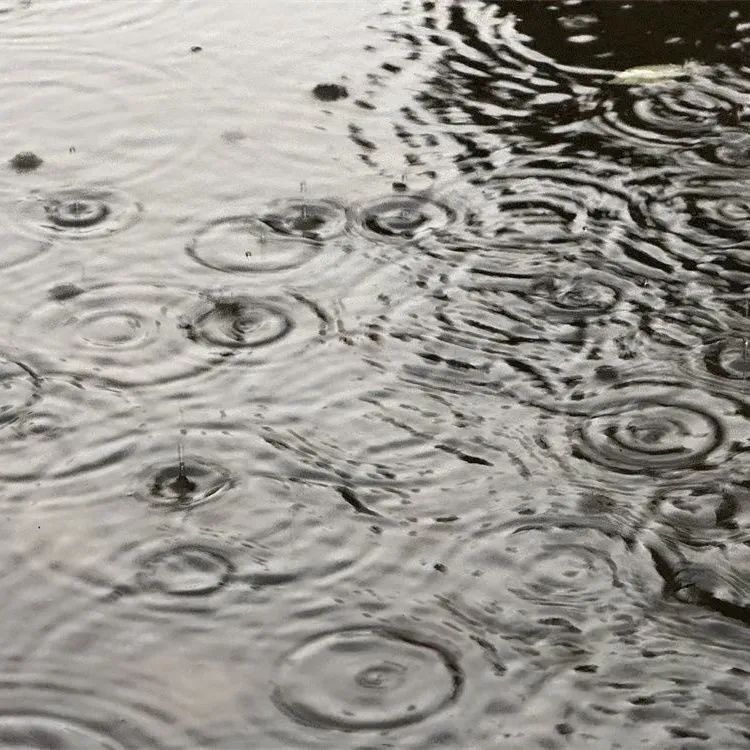 入伏雨,伏伏雨?接下来宿迁的天气