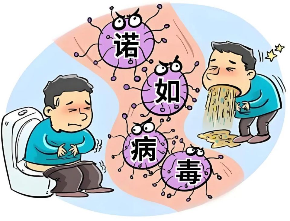 关于诺如病毒,您了解多少?