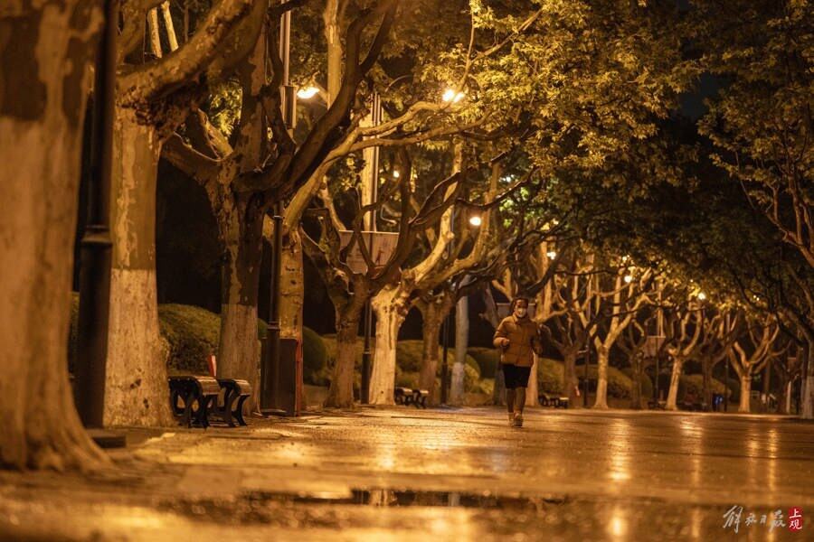 世纪公园24小时开放:夜跑族喜欢,凌晨还有人散步