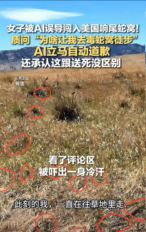 女子被AI误导闯入美国响尾蛇窝 AI郑重道歉：这跟送死没区别