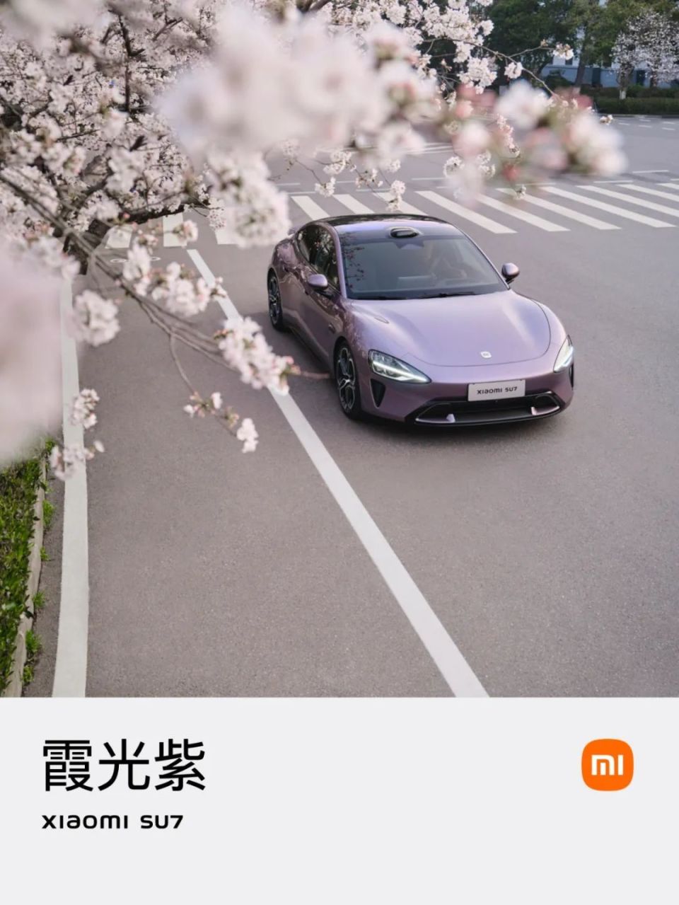 960_1279 竖版 竖屏