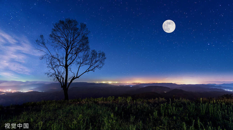 夜读丨草地上的月亮