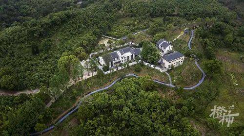 森呼吸换肺目的地你知道几个这份浙江省森林康养基地名单请收好