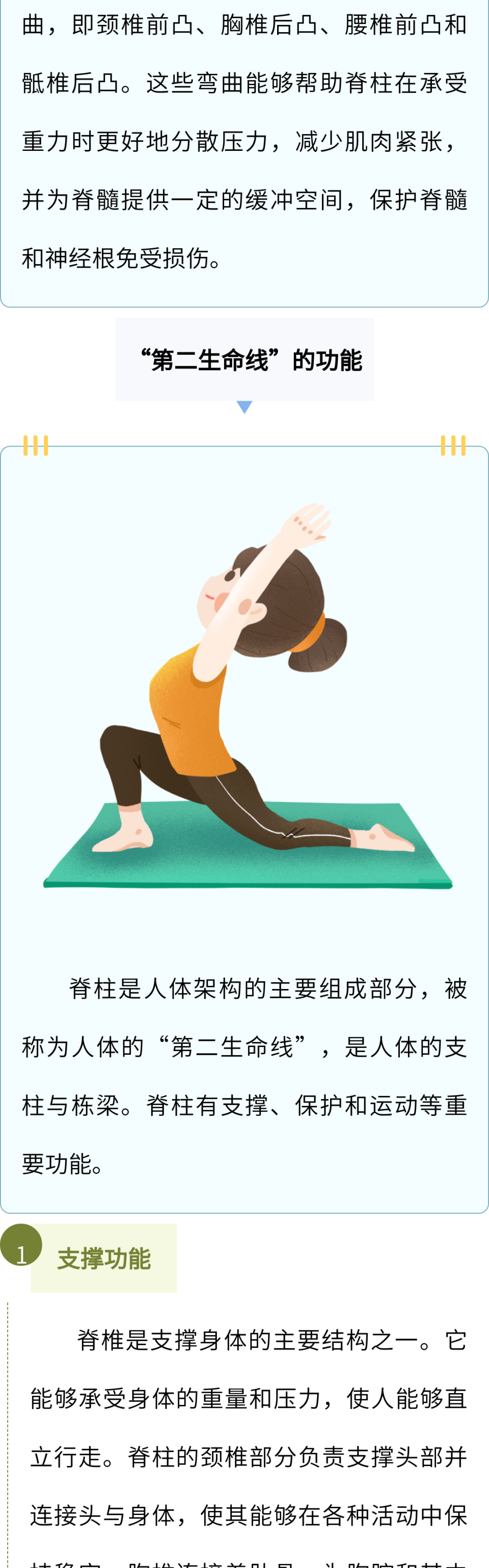 世界脊柱健康日 | 脊柱为何是第二生命线?