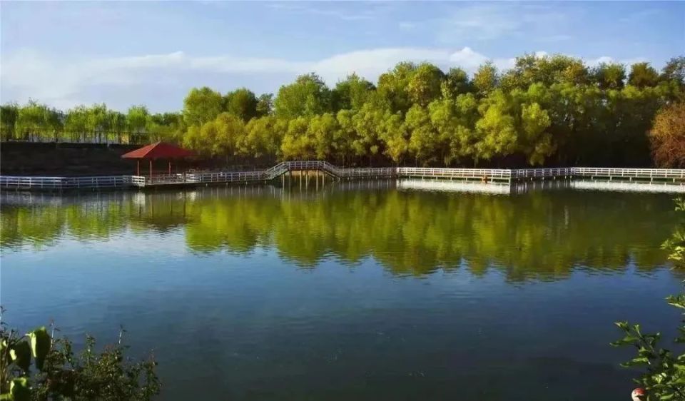 品美食,赏风景,打卡福地——东乡县盛世滨湖旅游区