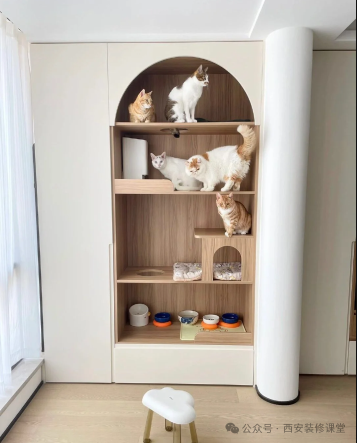 阳台猫爬架与柜子组合,让空间更有趣6.25
