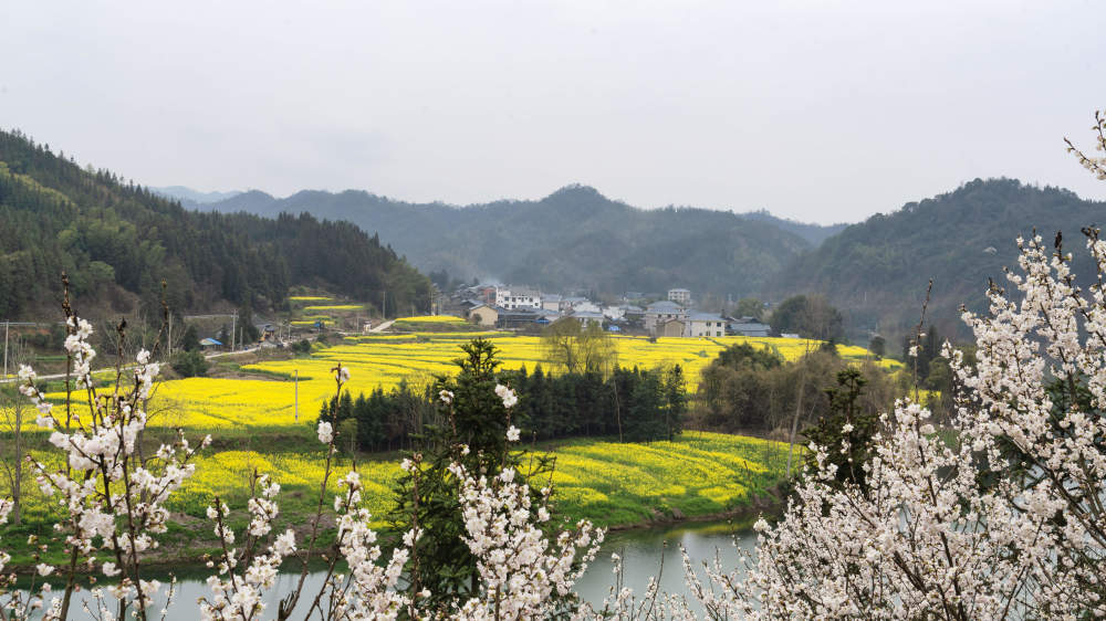 湖南怀化:美丽乡村入画来