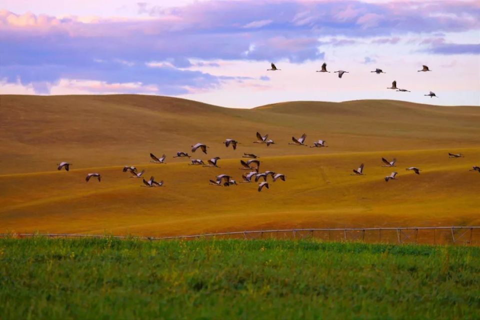"相约草原·遇见那达慕"内蒙古自治区第34届草原那达慕在锡林浩特隆重