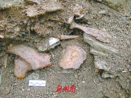 在石門燕兒洞遺址,道縣玉蟾巖遺址,澧縣八十壋遺址,洪江高廟遺址,桂陽