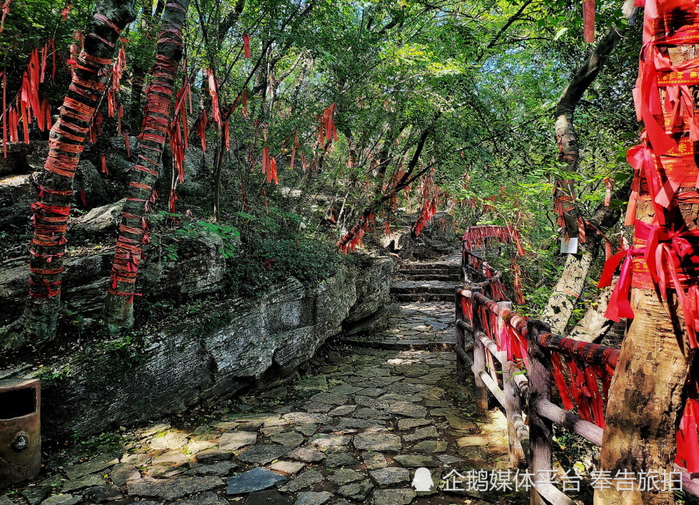 凤阳县狼巷迷谷风景区图片