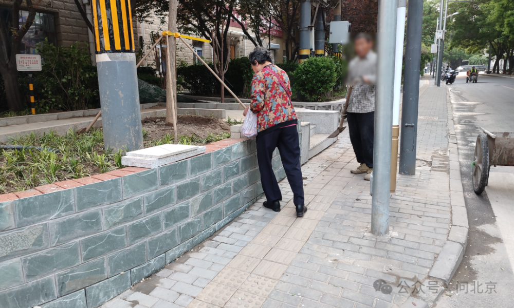 好好的人行横道上,"长出了"一个花坛?_腾讯新闻