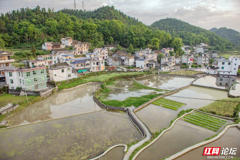 我们游完了边城,十八洞村之后,来到矮寨镇公路观景台欣赏了矮寨大桥的